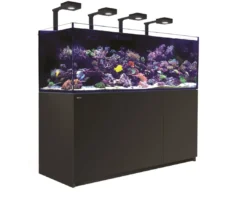 Online Red Sea Akvarium Reefer Deluxe XXL Sort 750 Akvarier Til Saltvandsfisk|Akvarier