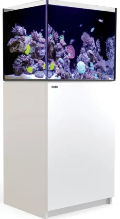 Discount Red Sea Akvarium Reefer Hvid 170 G2 Akvarier Til Saltvandsfisk|Akvarier
