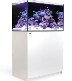 Clearance Red Sea Akvarium Reefer Hvid 250 V3 Akvarier Til Saltvandsfisk|Akvarier