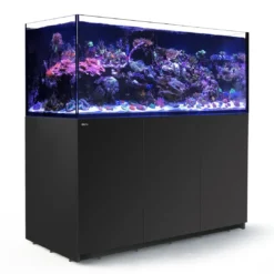 Red Sea Akvarium Reefer Sort XXL 625 V3 Akvarier Til Saltvandsfisk|Akvarier
