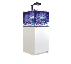 New Red Sea Akvarium Reefer XL 200 Deluxe G2 Hvid Akvarier Til Saltvandsfisk|Akvarier