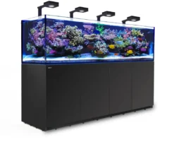 Online Red Sea Akvarium Reefer 3XL 900 Deluxe Sort Akvarier Til Saltvandsfisk|Akvarier