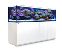 New Red Sea Akvarium Reefer 3XL 900 Hvid Akvarier Til Saltvandsfisk|Akvarier