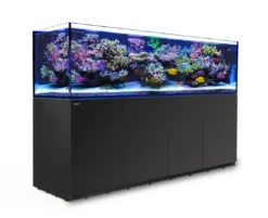 Discount Red Sea Akvarium Reefer 3XL 900 Sort Akvarier Til Saltvandsfisk|Akvarier