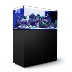 Best Red Sea Akvarium sæt Peninsula P500 Sort Akvarier Til Saltvandsfisk|Akvarier