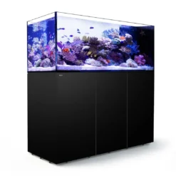 Best Red Sea Akvarium sæt Peninsula P650 Sort Akvarier Til Saltvandsfisk|Akvarier
