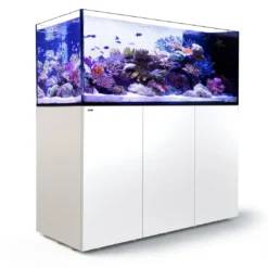 Hot Red Sea Akvarium sæt Peninsula P650 Hvid Akvarier Til Saltvandsfisk|Akvarier