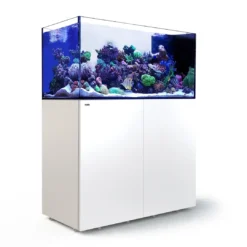 Clearance Red Sea Akvarium sæt Peninsula P500 Hvid Akvarier Til Saltvandsfisk|Akvarier