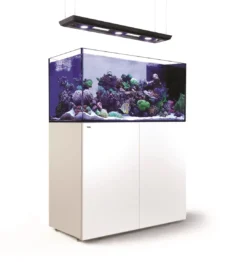 Clearance Red Sea Akvarium sæt Peninsula P500 Deluxe Hvid Akvarier Til Saltvandsfisk|Akvarier
