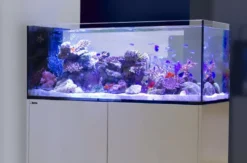 Clearance Red Sea Akvarium sæt Peninsula P500 Deluxe Hvid Akvarier Til Saltvandsfisk|Akvarier