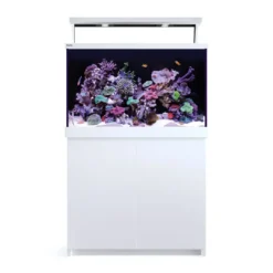 Clearance Red Sea MAX S-400 Liter Hvid G2 Akvarier Til Saltvandsfisk|Akvarier