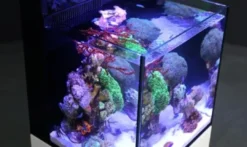 Hot Red Sea Nano Max Complete Reef System Sort G2 Akvarier Til Saltvandsfisk|Akvarier