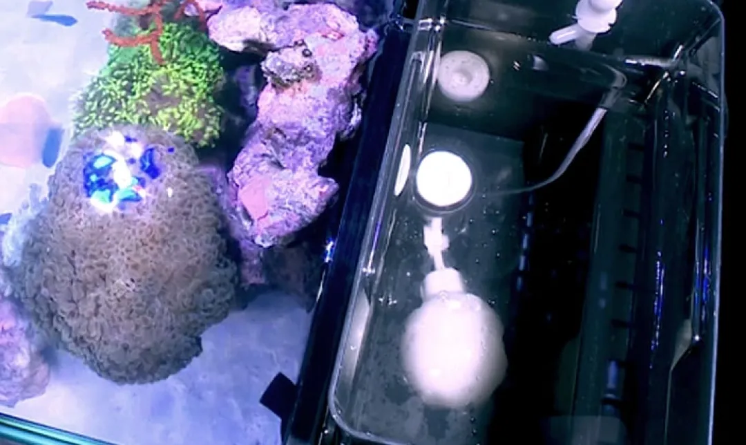 Outlet Red Sea Nano Max Complete Reef System Hvidt G2 Akvarier Til Saltvandsfisk|Akvarier