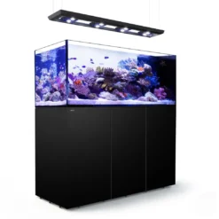 Clearance Saltvandakvarium Peninsula P650 Deluxe Akvarier Til Saltvandsfisk|Akvarier