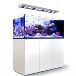 Outlet Saltvandakvarium Peninsula P650 Deluxe Hvid Akvarier Til Saltvandsfisk|Akvarier