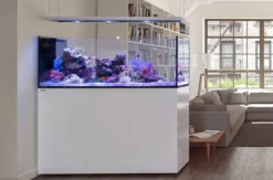 Outlet Saltvandakvarium Peninsula P650 Deluxe Hvid Akvarier Til Saltvandsfisk|Akvarier