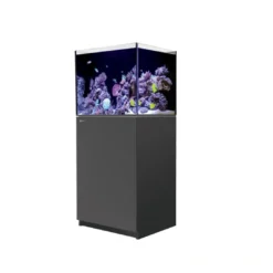 New Red Sea Saltvandsakvarium Reefer G2 XL 200 Sort Inkl ATO+ Akvarier Til Saltvandsfisk|Akvarier