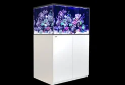 Red Sea Saltvandsakvarium Reefer XL 300 Hvid Akvarier Til Saltvandsfisk|Akvarier