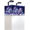 Clearance Red Sea Saltvandsakvarium Reefer XL 300 Deluxe Hvid Akvarier Til Saltvandsfisk|Akvarier