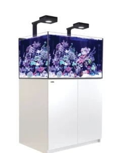 Clearance Red Sea Saltvandsakvarium Reefer XL 300 Deluxe Hvid Akvarier Til Saltvandsfisk|Akvarier