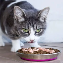 Sale rustfri stålskål til kat 200 ml Pink Mad- Og Vandskåle Til Katte|Killingeskåle - Mad- Og Vandskåle Til Killinger