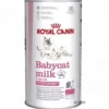 Online Royal Canin Babycat Modermælkserstatning 300 g Kattefoder & Snacks