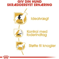Discount Royal Canin Beagle Adult 12 kg - tørfoder til voksne hunde Hundefoder|Tørfoder Til Hunde I Alle Størrelser Og Aldre