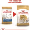 Online Royal Canin Bichon Frise Adult 1,5 kg - tørfoder til voksne hunde Hundefoder|Tørfoder Til Hunde I Alle Størrelser Og Aldre