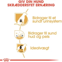 Online Royal Canin Bichon Frise Adult 1,5 kg - tørfoder til voksne hunde Hundefoder|Tørfoder Til Hunde I Alle Størrelser Og Aldre