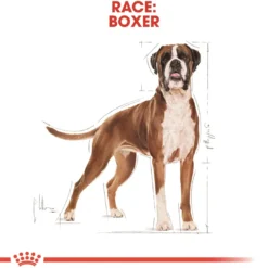 Clearance Royal Canin Boxer Adult 12 kg - fuldfoder til voksne boxere Hundefoder|Tørfoder Til Hunde I Alle Størrelser Og Aldre
