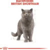 Best Royal Canin British shorthair 400 gram Kattefoder & Snacks