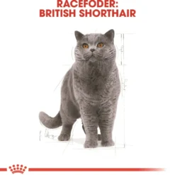 Best Royal Canin British shorthair 400 gram Kattefoder & Snacks