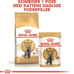 Best Royal Canin British shorthair 400 gram Kattefoder & Snacks