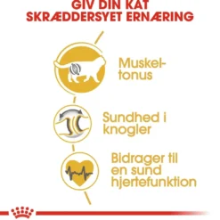Best Royal Canin British shorthair 400 gram Kattefoder & Snacks
