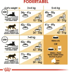 Best Royal Canin British shorthair 400 gram Kattefoder & Snacks