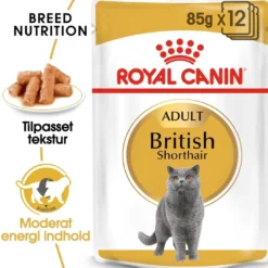 Best Royal Canin British shorthair Sovs - vådfoder 85 g Kattefoder & Snacks