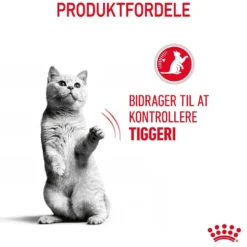 Discount Royal Canin Care Appetite Control 2 kg Kattefoder & Snacks