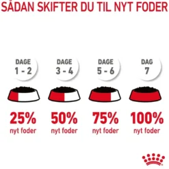 Clearance Royal Canin Care Appetite Control Gravy vådfoder 85 g Kattefoder & Snacks