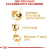 Sale Royal Canin Cavalier King Charles Adult 1,5 kg - tørfoder til små hunde Hundefoder|Tørfoder Til Hunde I Alle Størrelser Og Aldre
