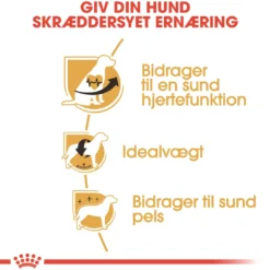 Sale Royal Canin Cavalier King Charles Adult 1,5 kg - tørfoder til små hunde Hundefoder|Tørfoder Til Hunde I Alle Størrelser Og Aldre