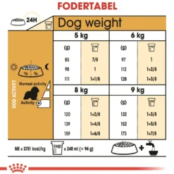 Sale Royal Canin Cavalier King Charles Adult 1,5 kg - tørfoder til små hunde Hundefoder|Tørfoder Til Hunde I Alle Størrelser Og Aldre