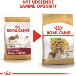 Sale Royal Canin Cavalier King Charles Adult 1,5 kg - tørfoder til små hunde Hundefoder|Tørfoder Til Hunde I Alle Størrelser Og Aldre