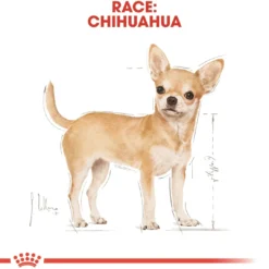 Royal Canin Chihuahua Adult 1,5 kg - tørfoder til små hunde Hundefoder|Tørfoder Til Hunde I Alle Størrelser Og Aldre