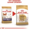 Clearance Royal Canin Chihuahua Adult 3 kg - tørfoder til små hunde Hundefoder|Tørfoder Til Hunde I Alle Størrelser Og Aldre