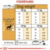 Online Royal Canin Cocker Spaniel Adult 3 kg - tørfoder til voksne hunde Hundefoder|Tørfoder Til Hunde I Alle Størrelser Og Aldre