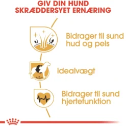Best Royal Canin Cocker Spaniel Adult 12 kg - tørfoder til voksne hunde Hundefoder|Tørfoder Til Hunde I Alle Størrelser Og Aldre