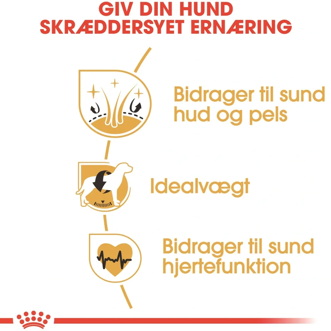 Best Royal Canin Cocker Spaniel Adult 12 kg - tørfoder til voksne hunde Hundefoder|Tørfoder Til Hunde I Alle Størrelser Og Aldre