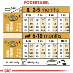 Royal Canin Dachshund Puppy 1,5 kg - tørfoder til Gravhund hvalpe Hundefoder|Tørfoder Til Hunde I Alle Størrelser Og Aldre