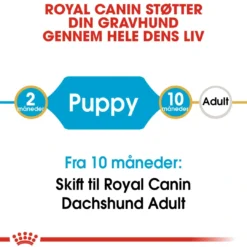 Royal Canin Dachshund Puppy 1,5 kg - tørfoder til Gravhund hvalpe Hundefoder|Tørfoder Til Hunde I Alle Størrelser Og Aldre