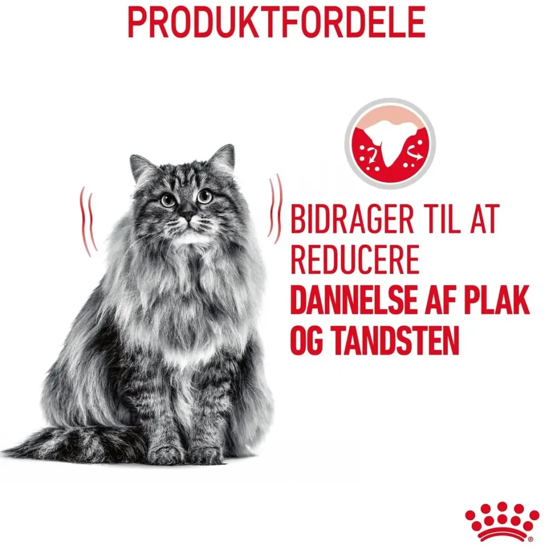 Best Royal Canin Dental Care 400 gram Kattefoder & Snacks